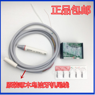啄木鸟超声波洁牙机配件洁牙机尾线管N2 LED原装牙科洗牙机尾线管