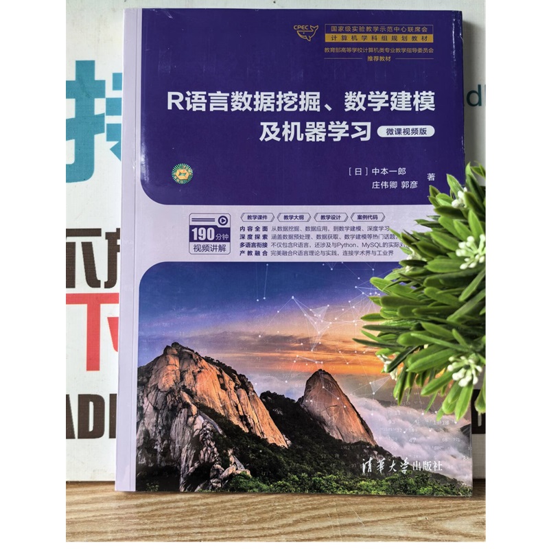 R语言数据挖掘、数学建模及机器学习（微课视频版）（国家级实验教学示范中心联席会计算机学科组规划教材）