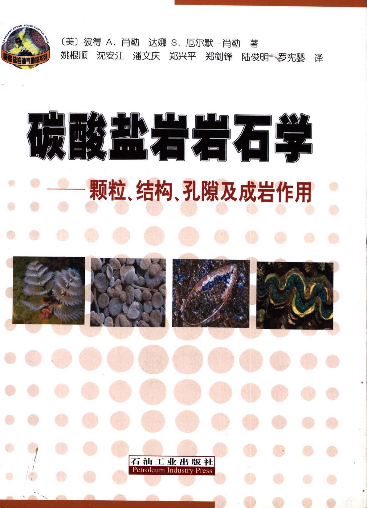 正版包邮  碳酸盐岩岩石学:颗粒、结构、孔隙及成岩作用彼得 A.肖勒 达娜 S.厄尔默-肖勒怎么看?