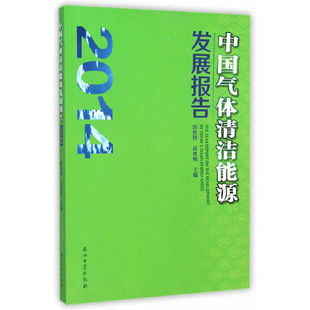 2014 中国气体清洁能源发展报告 包邮 正版