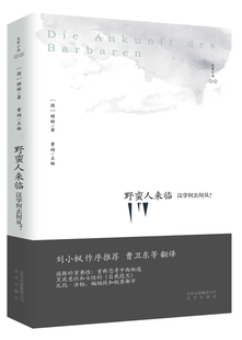 正版包邮  大家小书·译馆：野蛮人来临——汉学何去何从？顾彬