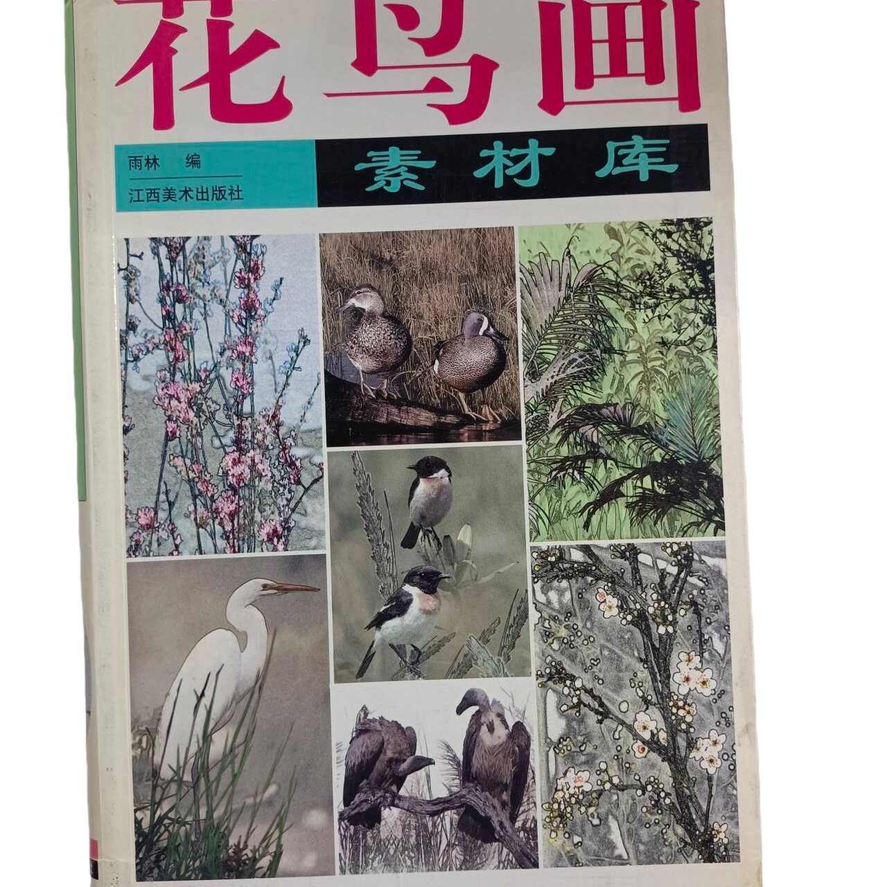 正版现货实物拍摄 花鸟画素材库 软精装9787806900727  江西美术出版社153-4