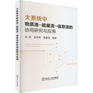 信息流 正版 能量流 大系统中物质流 协同研究与应用 包邮
