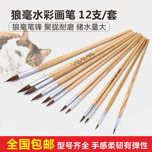 绘涂狼毫尖头水彩笔 水粉画笔勾线笔毛笔初学者手绘用1到12号单支