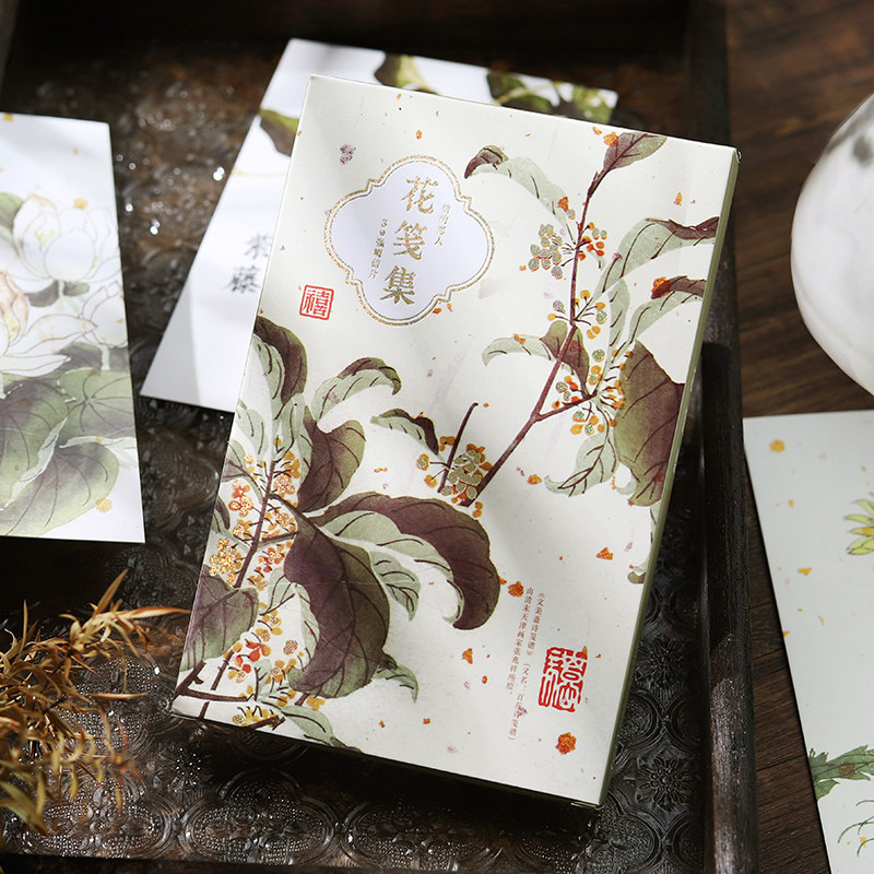 创意手绘植物图鉴明信片 花笺集 文艺风唯美装饰背景卡片简约生日贺卡礼物留言卡节日祝福新年情人节恋人告白