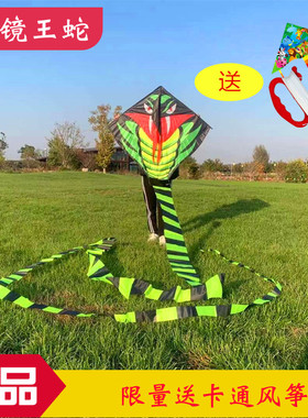 （买一送一）新款长尾眼镜蛇风筝儿童微风易飞初学者带放飞线轮