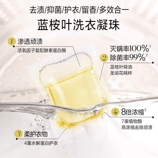 绽家蓝桉叶精油桂花香氛洗衣凝珠持久留香抑菌10颗单腔三腔四腔
