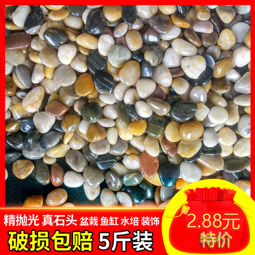 鹅卵石 石头 庭院雨花石天然小石子多肉鱼缸花盆装饰盆栽园艺彩石