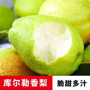 江江的姜新疆库尔勒香梨新鲜水果当季整箱现摘清甜多汁