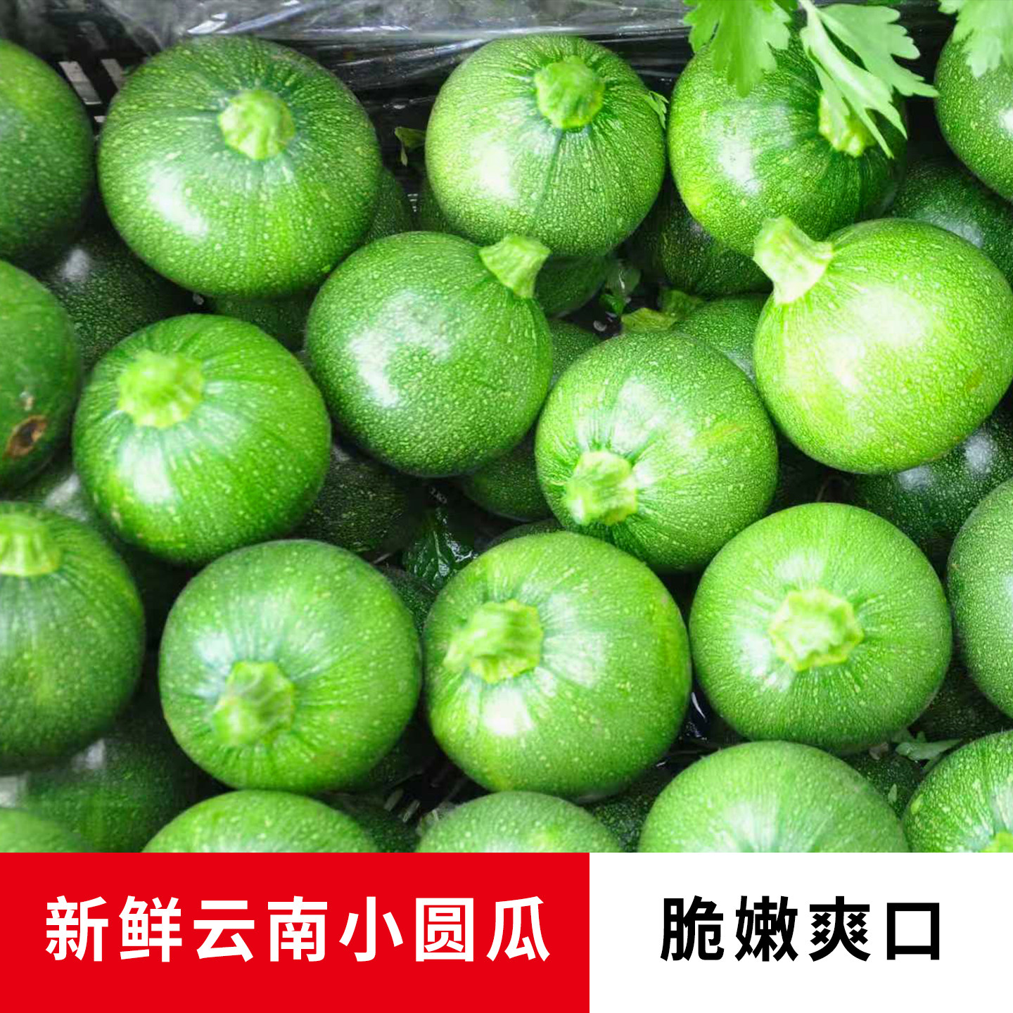 云南小圆瓜南瓜圆心西葫芦蔬菜当季整箱现摘脆嫩爽口,水产肉类/新鲜蔬果/熟食,南瓜,淘宝优惠券,粉丝福利购,淘宝优惠卷