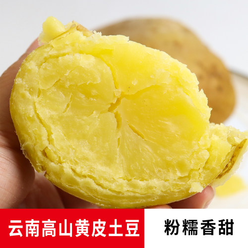 江江的姜云南黄皮黄心土豆