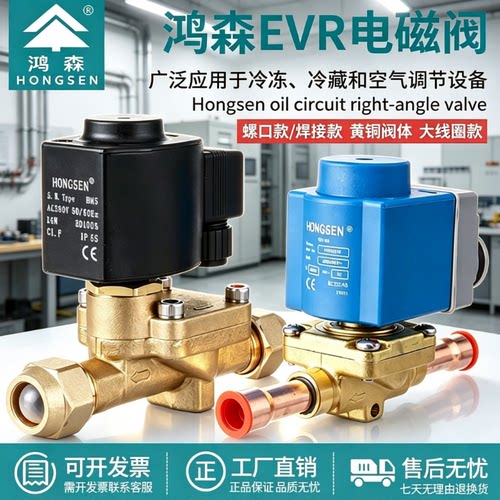 鸿森EVR系列电磁阀220V/380V