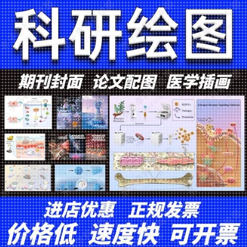 科研绘图/代画作图sci医学插图画图机制图origin图形摘要封面美化
