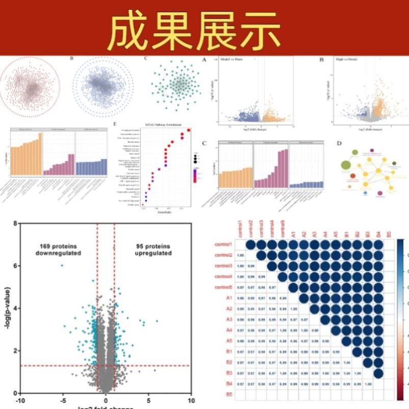 分子对接/分子动力学模拟/虚拟筛选/生信分析/网络药理学/MD代做