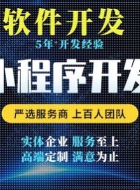 计算机程序设计java微信小程序php代码软件python安卓NET定做程序