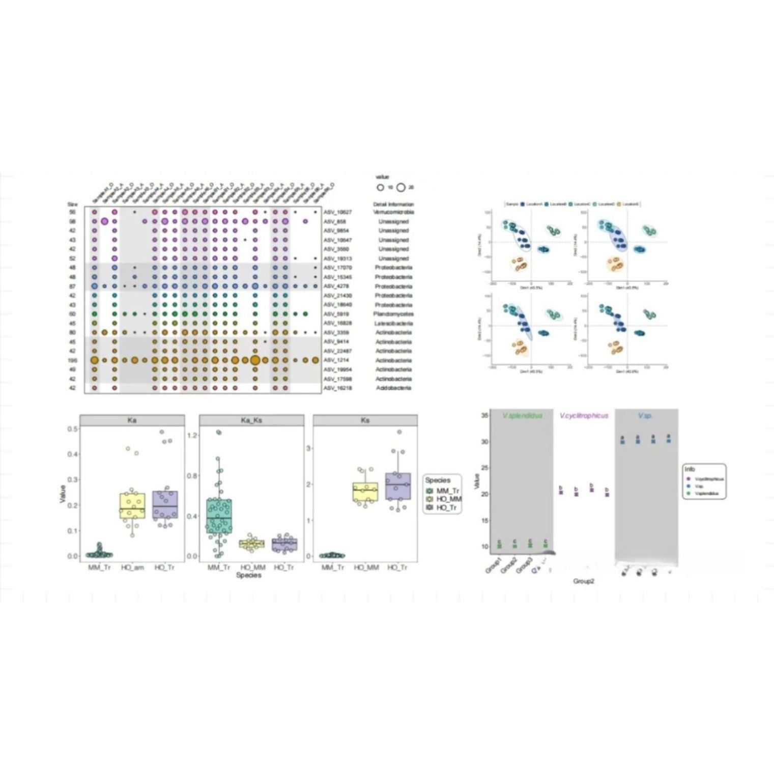 生信分析GBD数据分析/NHANES数据库/孟德尔随机化多组学联合分析