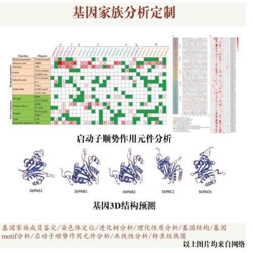 生信分析服务2-5差异基因单细胞测序转录组数据r语言火山图热图服