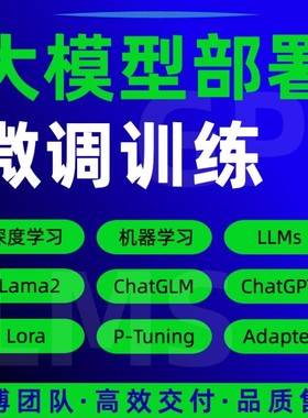 python代编程大模型微调训练Llama2环境配置代码代跑深度学习指导