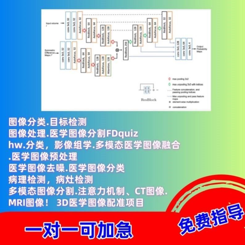 医学图像处理分割类辅导影像组学多模态融合预处理去噪MRI病理CT