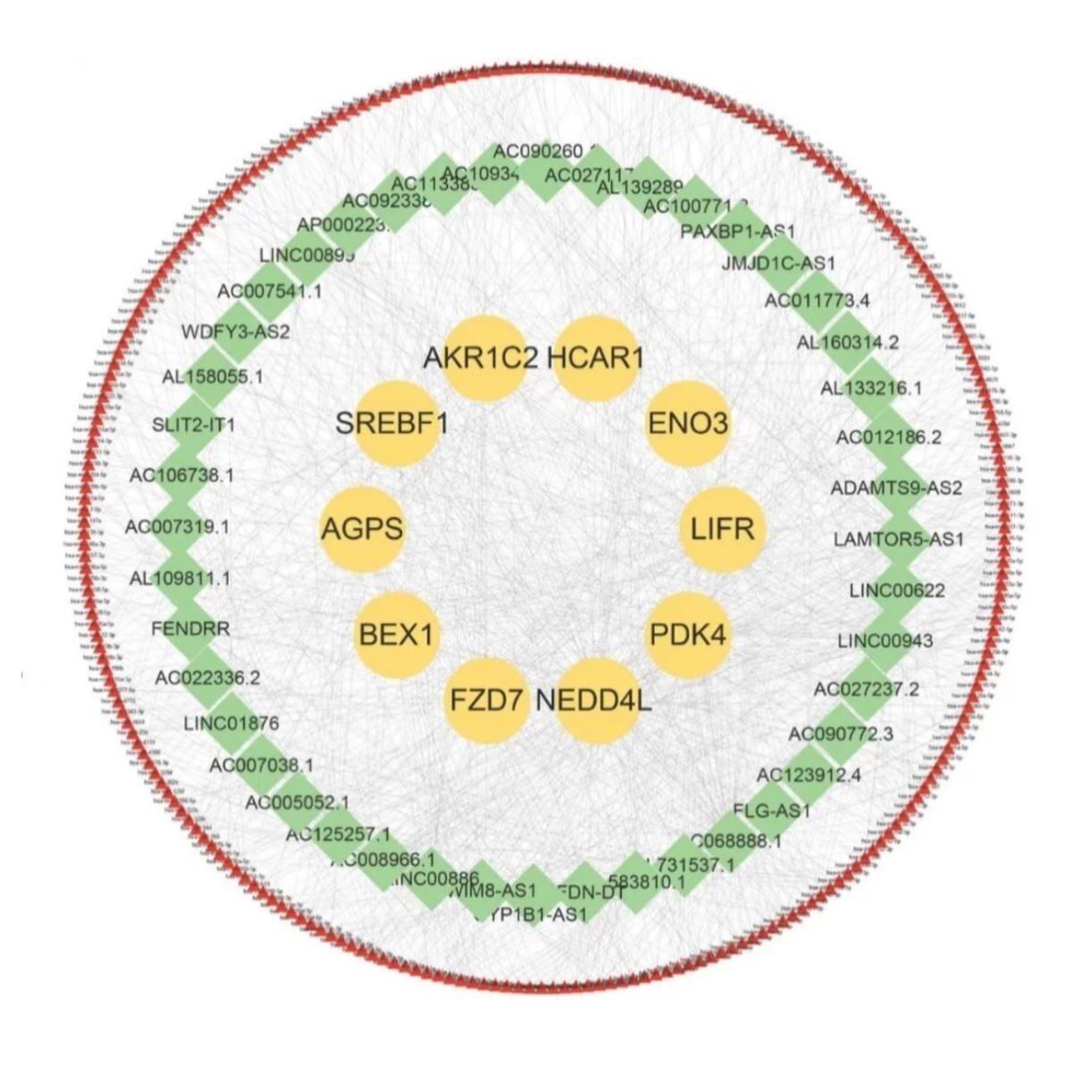 网络药理学生信分析核心SCI套餐中药复方分子对接