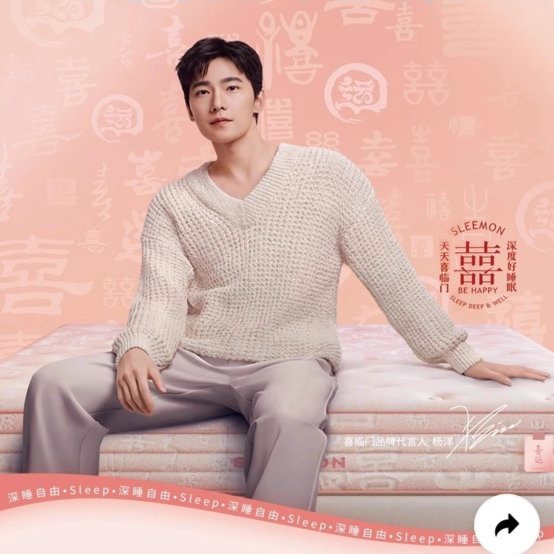 深睡M25喜运七区独立轻音弹簧