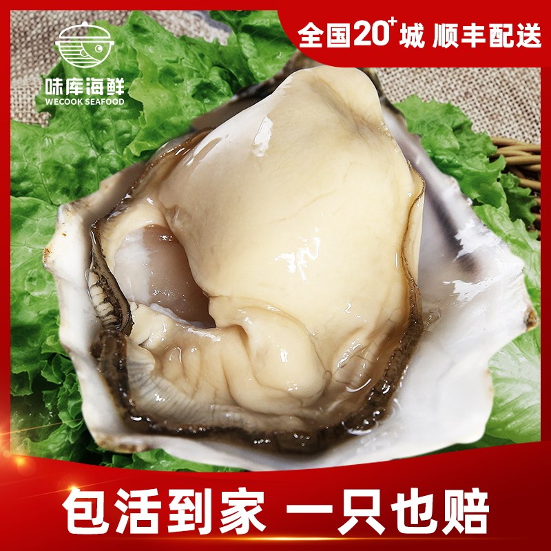 Oysters Seafood Vivid 5 Rushan Aquatic products fresh Large Oyster Oyster wholesale Super large One box 5in the Aquatic meat/Fresh fruits and vegetables/Cooked , Seafood/Aquatic/Product , Shellfish , Oysters  category - from Buy2taobao.com to provide professional Taobao agent buy service