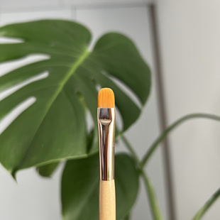 Jane iredale 遮瑕刷 斑点遮瑕刷 泪沟法令纹遮瑕 精准遮瑕