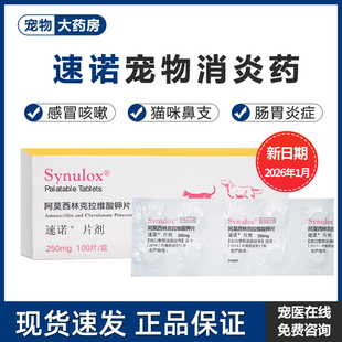 速诺片狗狗消炎药速诺消炎片狗阿莫西林克拉维酸钾片感冒药猫鼻支