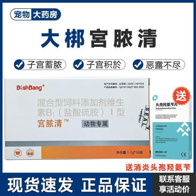大梆宫脓清宠物狗猫子宫蓄脓内膜炎感染积液储脓假孕恶露大邦