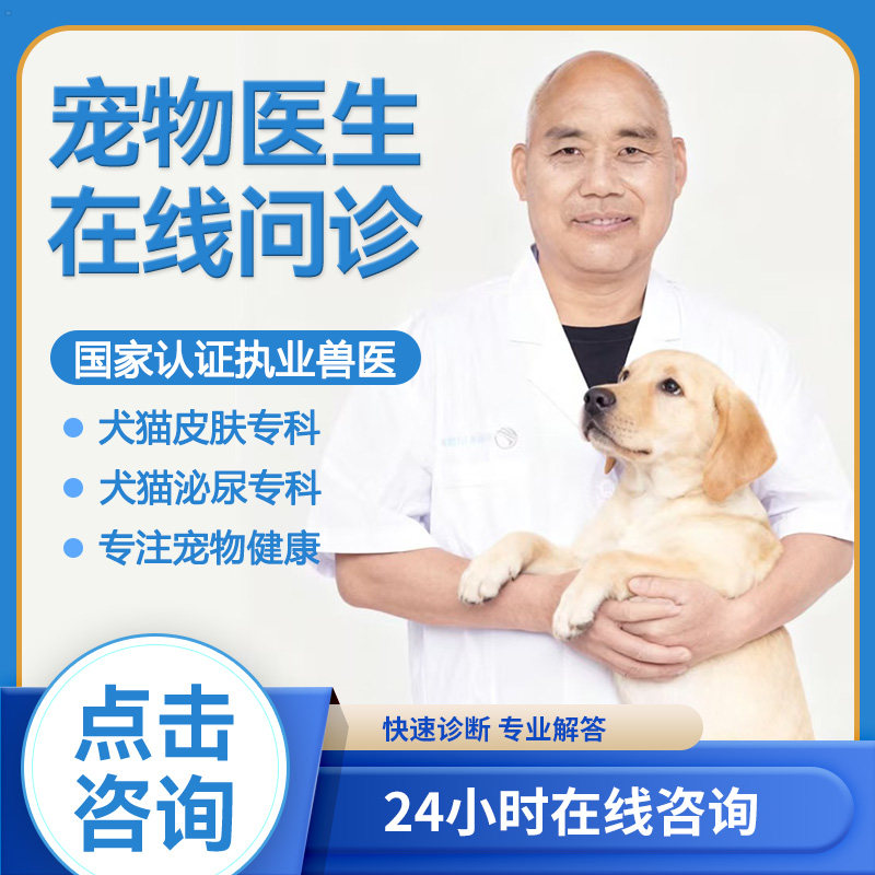 宠物问诊兽医在线问诊宠物医院医生看病咨询宠医24小时狗狗猫咪狗