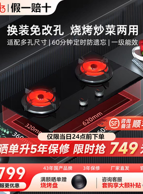红日红外线燃气灶煤气灶免改孔天然气液化气猛火定时双灶 EX16B
