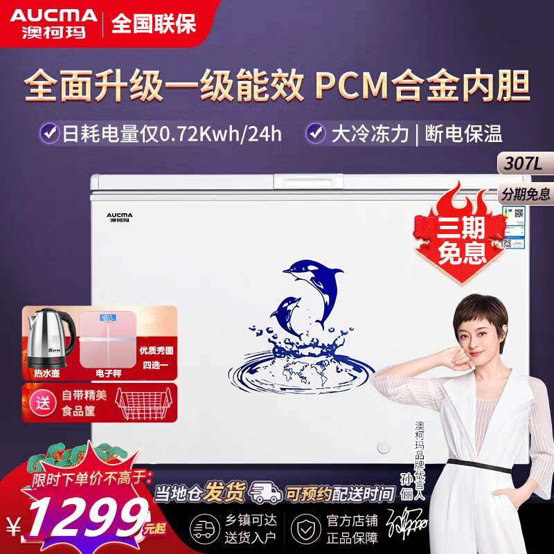 澳柯玛 BC/BD-307HNE 家用节能冷柜307升单温一级能效冰柜
