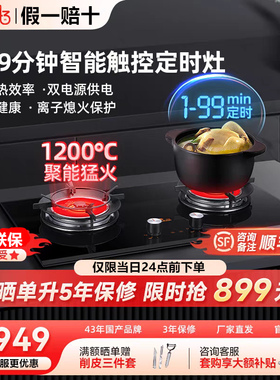 红日红外线燃气灶煤气灶天然气液化气灶猛火任意定时双灶 EM608B