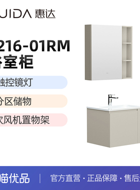 惠达（HUIDA）T216-01浴室柜智能镜灯带吹风机收纳架（不包安装）
