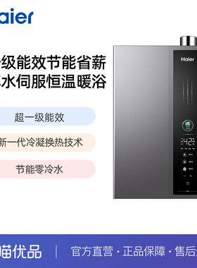 Haier/海尔 JSLQ27-16ER3DLTCU1 燃气热水器