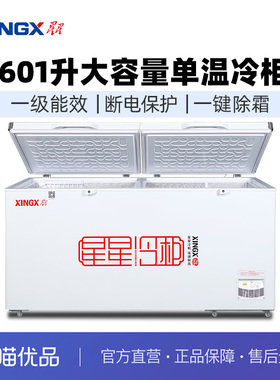 星星 BD/BC-628GE 冷藏冷冻 单温卧式冷柜大容量商用超市节能冰箱