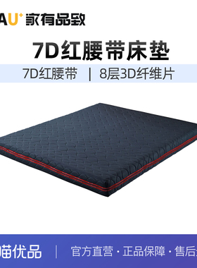 家有品致(JIAYOUPINZHI)7D红腰带家用卧室床垫JM088CD28