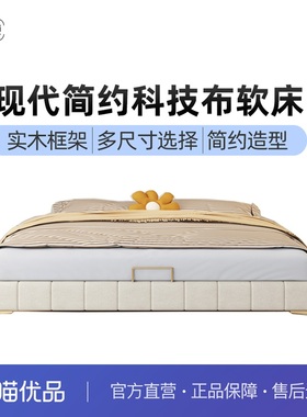 双纯卧室双人床现代简约百搭风格C002