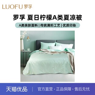 罗孚LUOFU夏日柠檬A类母婴级亲肤面料夏被空调被