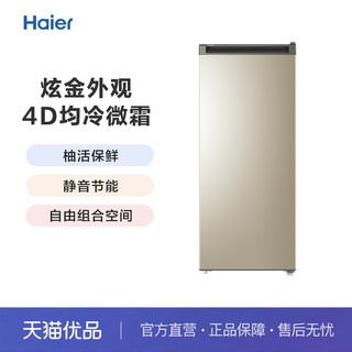 Haier/海尔 BD-193MDT 立式侧开家用微霜冰柜冷柜