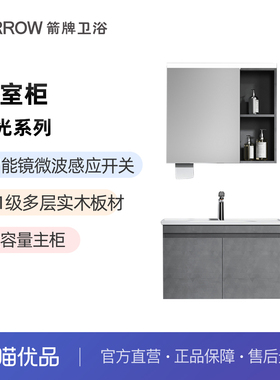 箭牌菱光系列现代风格浴室柜APGMD6G31009D-LG【含配件不含龙头】