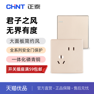 正泰（CHNT）开关插座2C淡香槟色【斜五孔插座】【满59元发货】