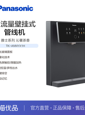 松下TK-ANNYX1H大流量壁挂式管线机（灰色）