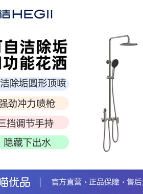 恒洁HMF174-333B-SH花洒自洁除垢圆形顶喷强劲冲力喷枪-不包安装