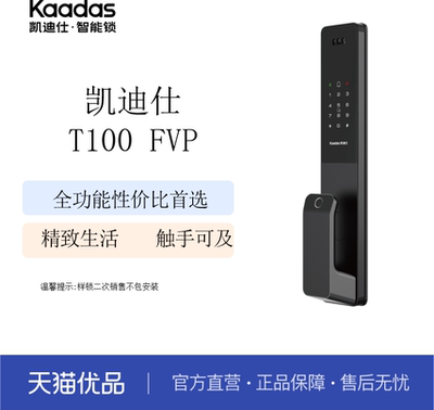 凯迪仕全功能性价比首选T100FVP