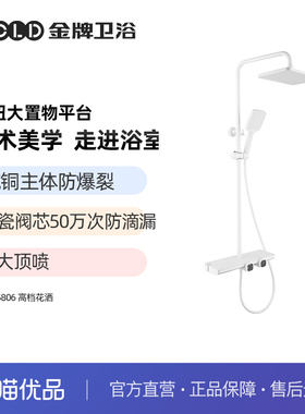 金牌卫浴GOLD全铜大置物 恒温花洒陶瓷阀芯带喷枪  KA05806