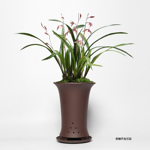 蔓木人紫砂宜兴紫砂花盆兰花盆精品手工古典素面桌面建兰托盘