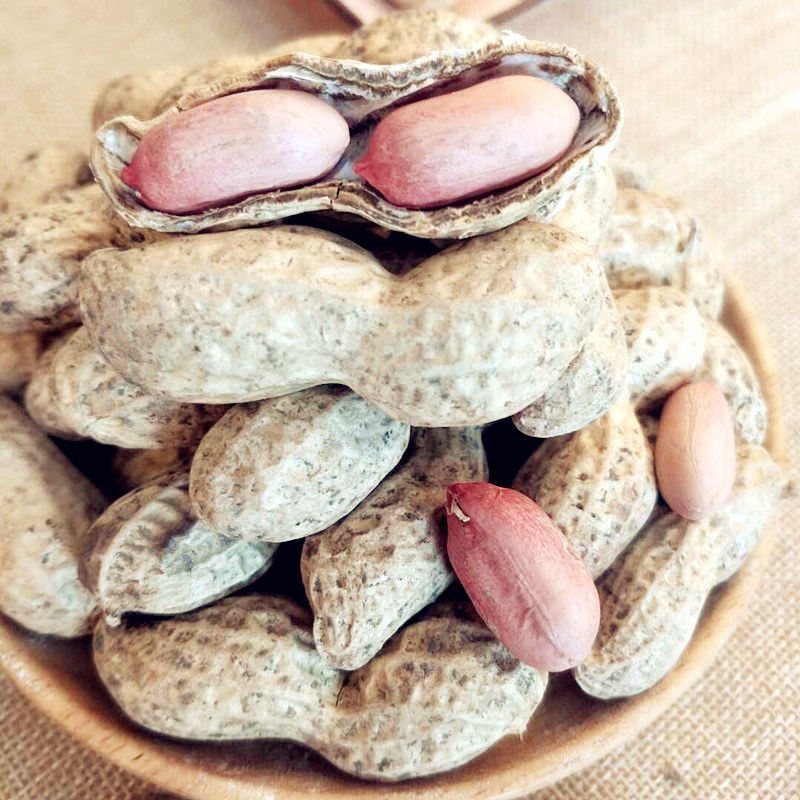 5斤 山东大花生长粒花育种子高产鲁花维花精选饱满带壳自产 生 新