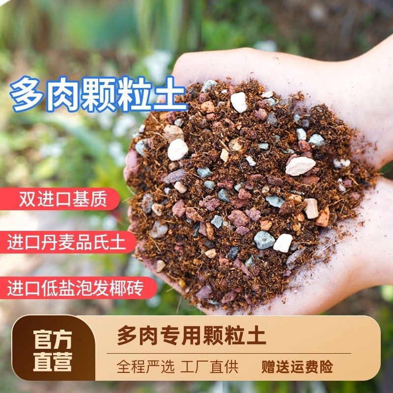 纯颗粒土多肉土专用颗粒营养土植物进口泥炭种植土铺面石叶插纯土