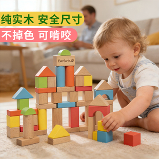 EverEarth宝宝积木大颗粒婴儿拼搭实木儿童益智玩具男女孩0到3岁